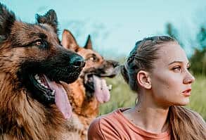 pastores-alemaes-e-criancas