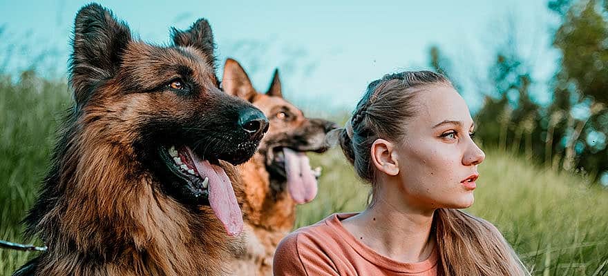 pastores-alemaes-e-criancas