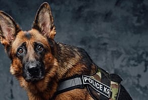 sindrome-do-coracao-partido