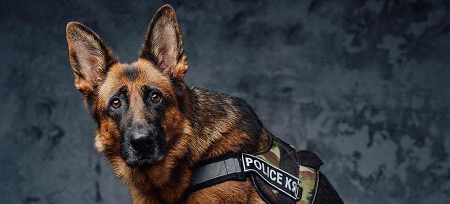 sindrome-do-coracao-partido